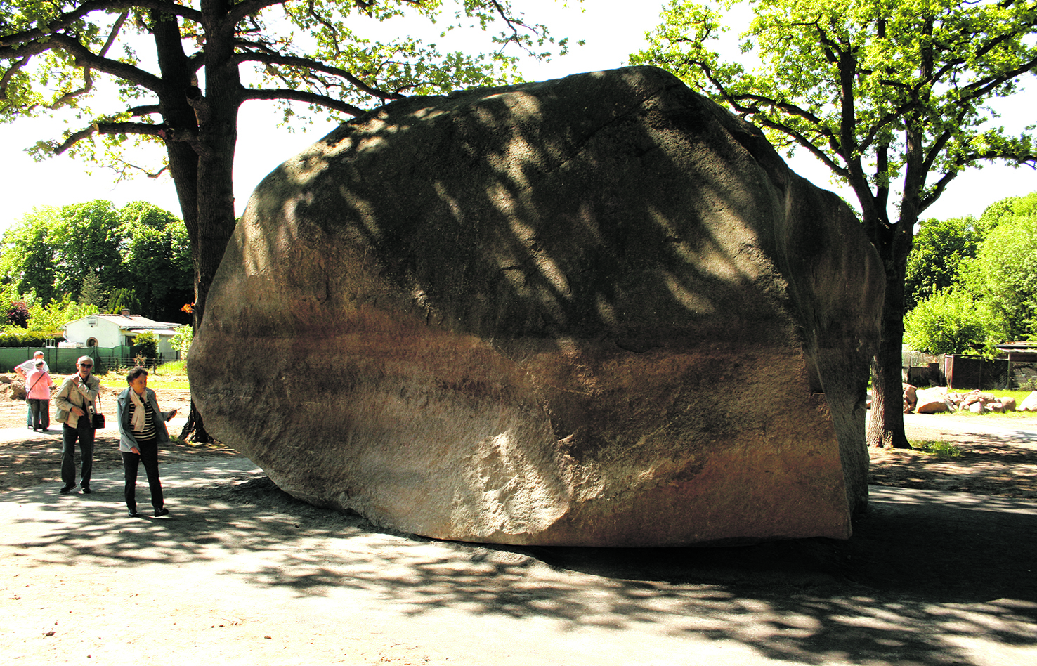 Beeindruckender Eiszeitzeuge in Altentreptow