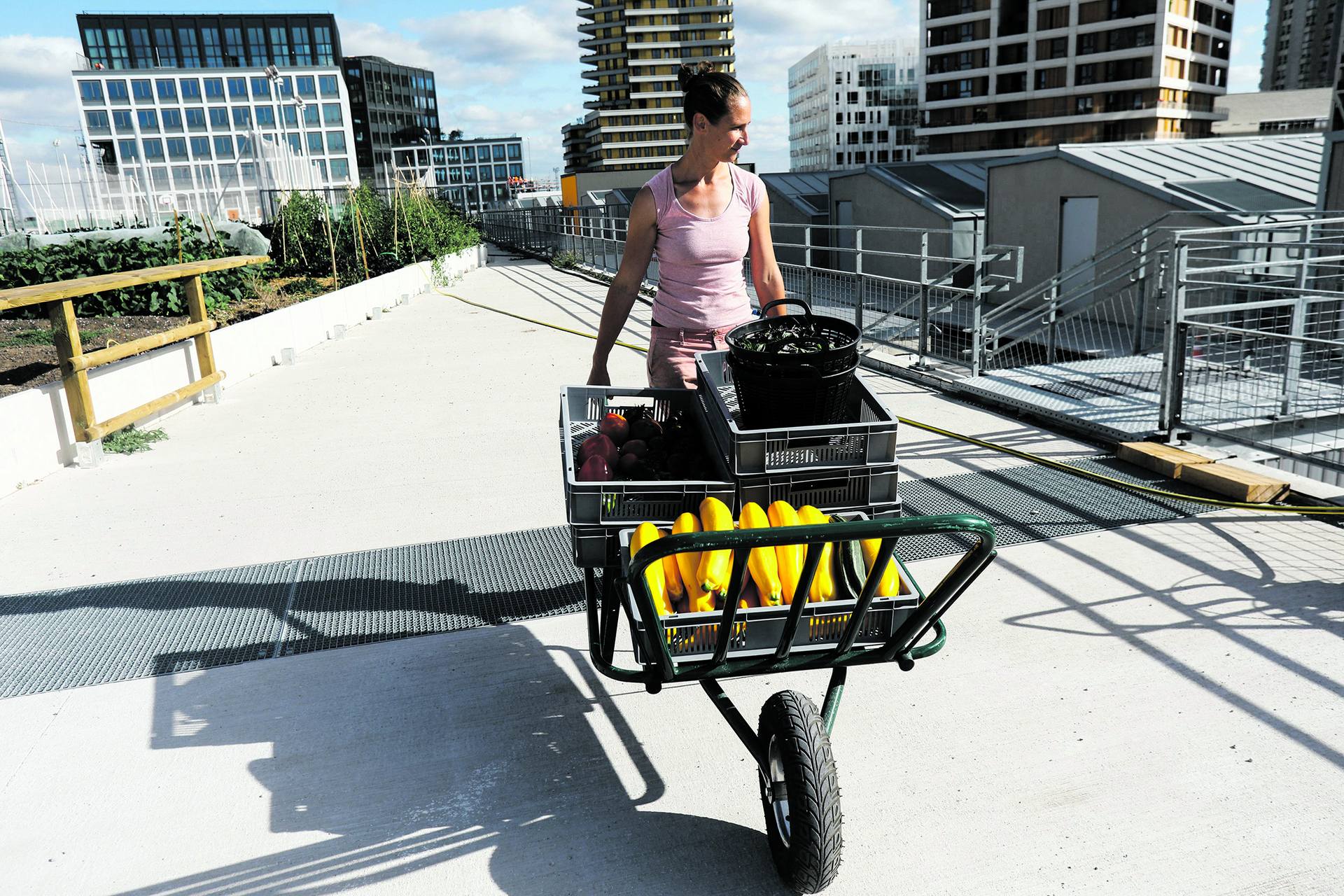 Die Zukunft liegt auf dem Teller