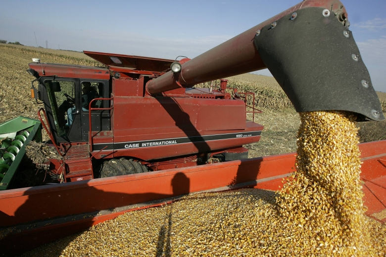 So ertragreich wie noch nie in der Geschichte: Mais-Ernte im US-Bundesstaat Illinois
