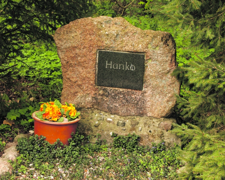Der Stein für das legendäre Pferd Hanko blieb erhalten 