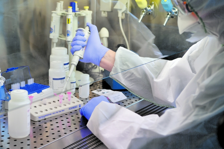 In Deutschland eine Goldgrube: Auswertung eines PCR-Tests im Labor