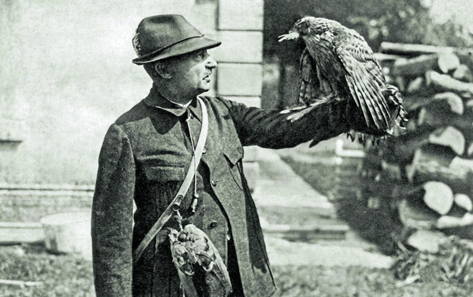 „Ein Vogelzug, so gewaltig, wie noch nie ...“