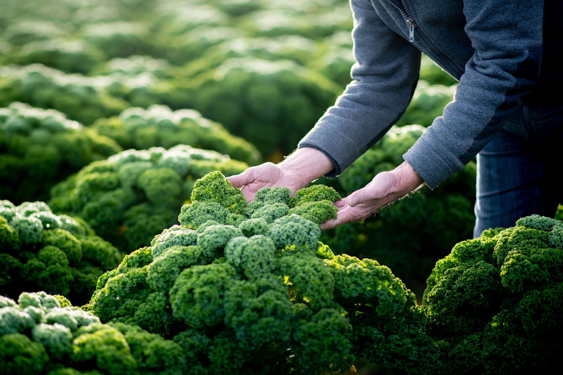 Ein vitaminreiches Winteressen