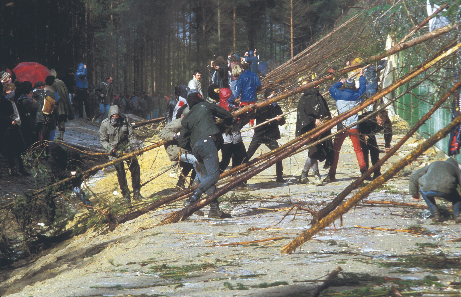 Die Grünen und der kommende Umsturz