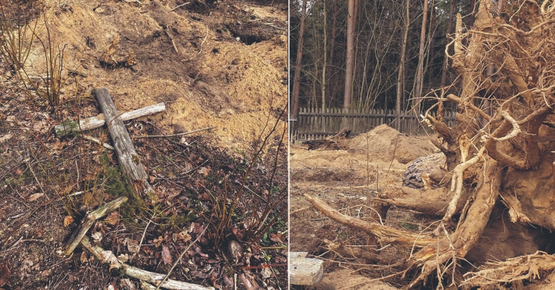 Rodungsarbeiten sorgten für totale Verwüstung auf dem evangelischen Friedhof von Neuendorf: Die Sejm-Abgeordnete Urszula Pasławska dokumentierte die Zerstörung der Gräber