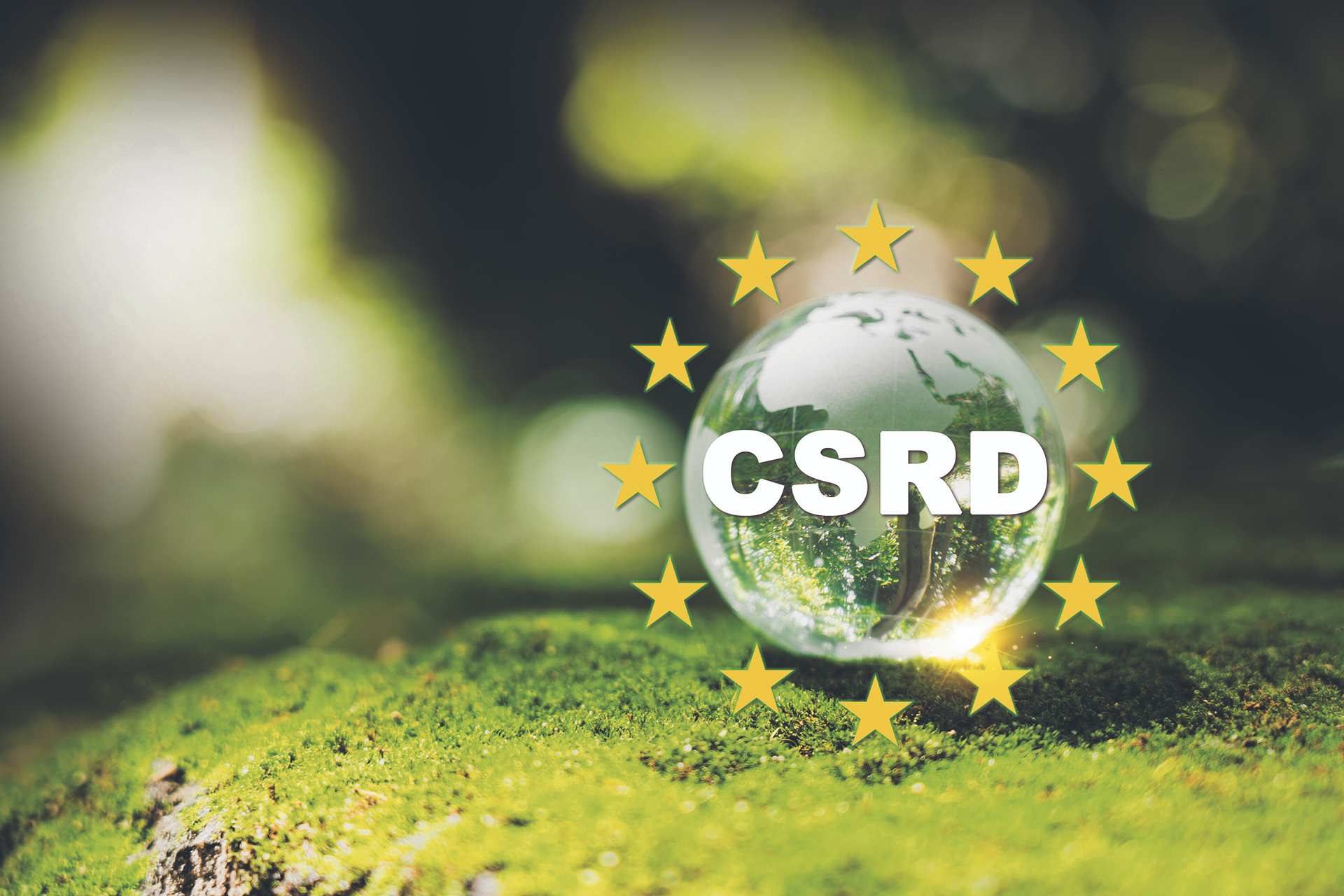 Ein Projekt der Grünen und der Eurokraten in allen Parteien: Die EU-Richtlinie zur Nachhaltigkeitsberichtserstattung (CSRD)