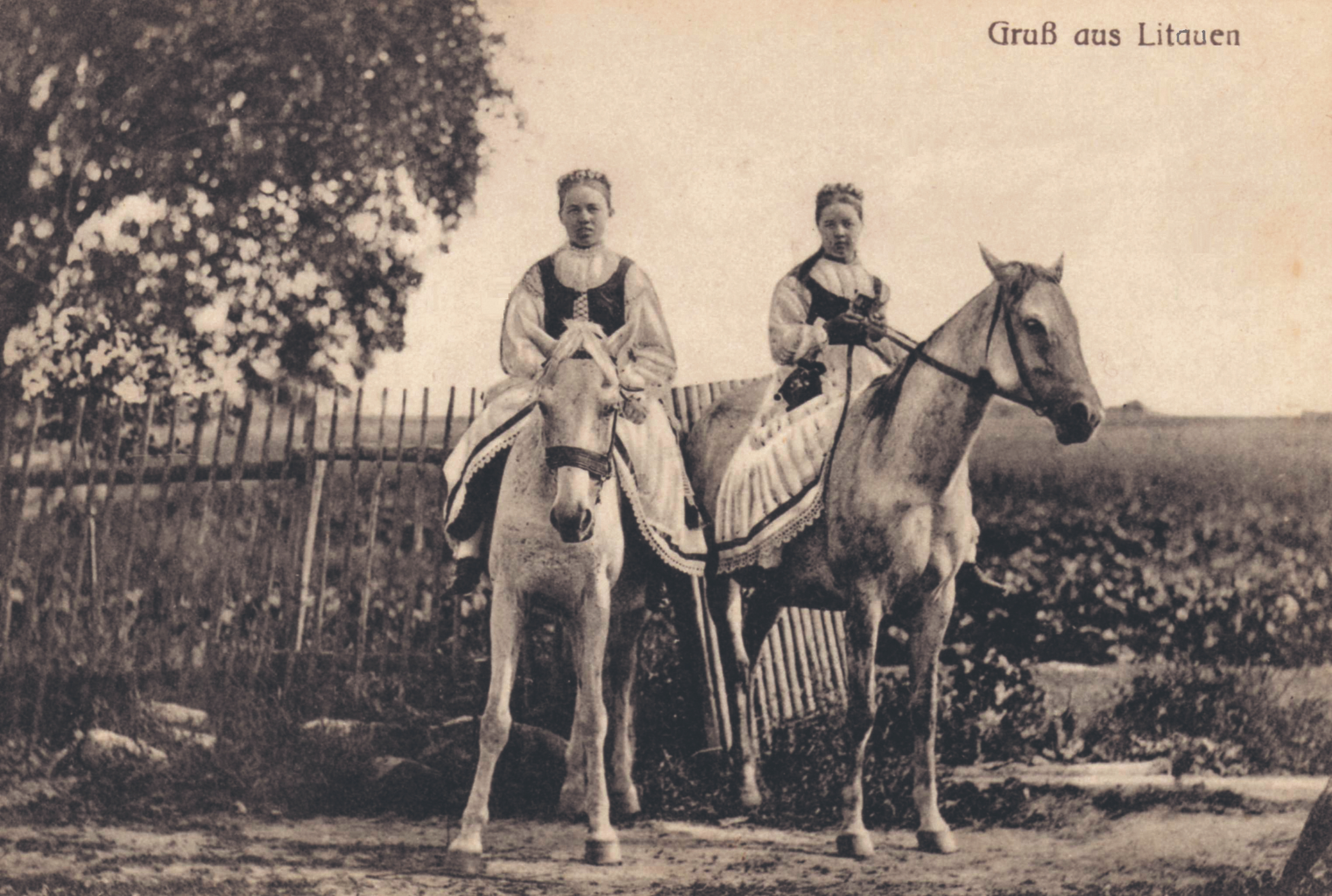 Frauen in Preußisch-Litauer Tracht. Zu erkennen die zehn Kreise Preußisch-Litauens (grün, kl. Bild):  Memel, Heydekrug, Niederung, Tilsit, Ragnit, Pillkallen, Insterburg, Gumbinnen, Stallupönen und Darkehmen