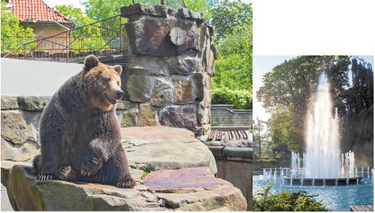 Besonderheit des Königsberger Tiergartens: Viele Objekte stammen noch aus deutscher Zeit wie das Bärengehege und der Springbrunnen. Sie stehen unter Denkmalschutz