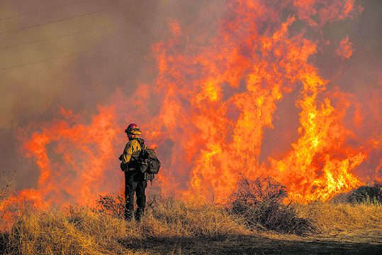 Ein Feuerwehrmann steht beinahe hilflos vor dem Flammenmeer im Mandeville Canyon von Los Angeles