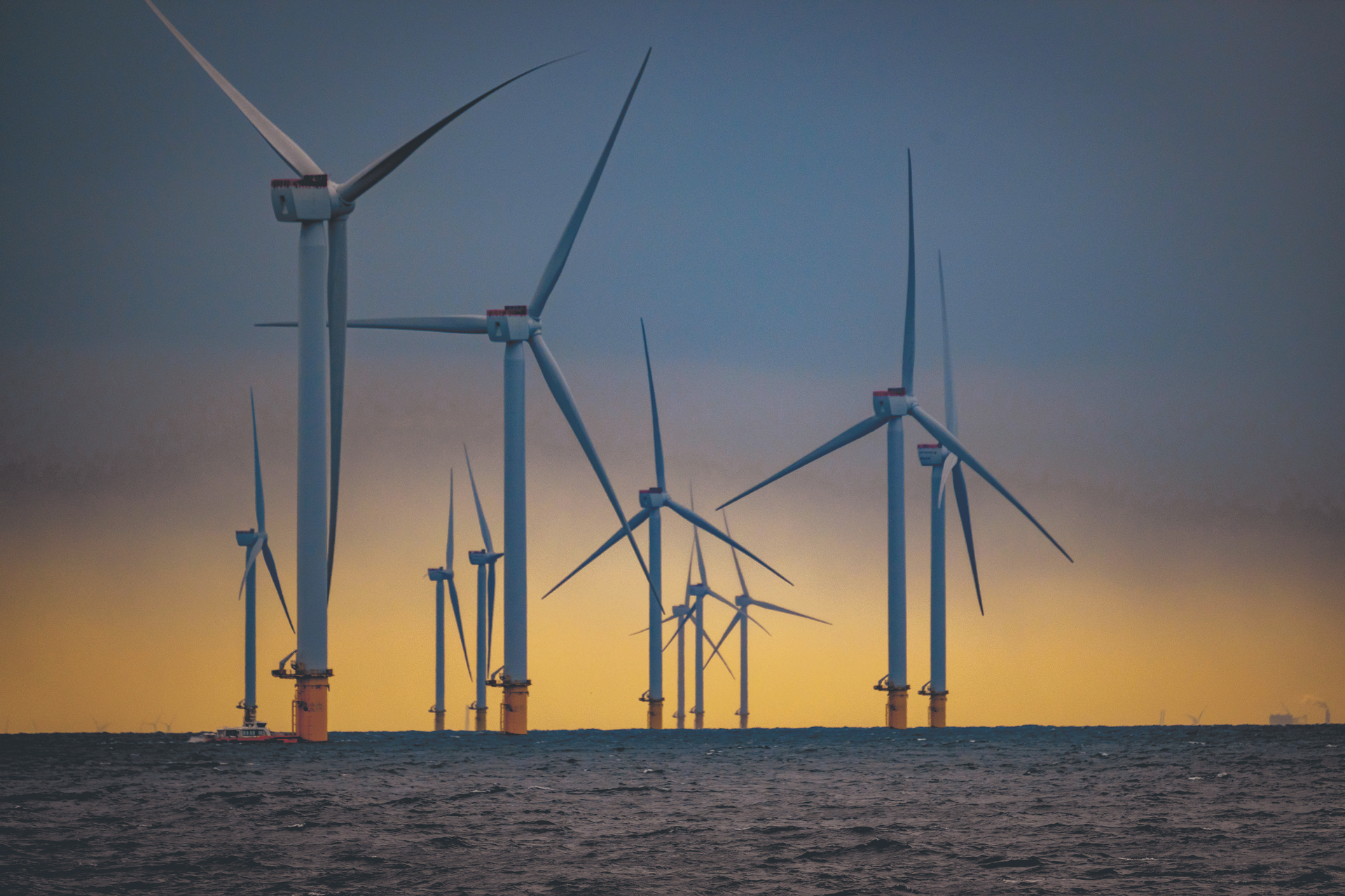 Sensibler Lebensraum in Gefahr: Windkraftpark in der Nordsee