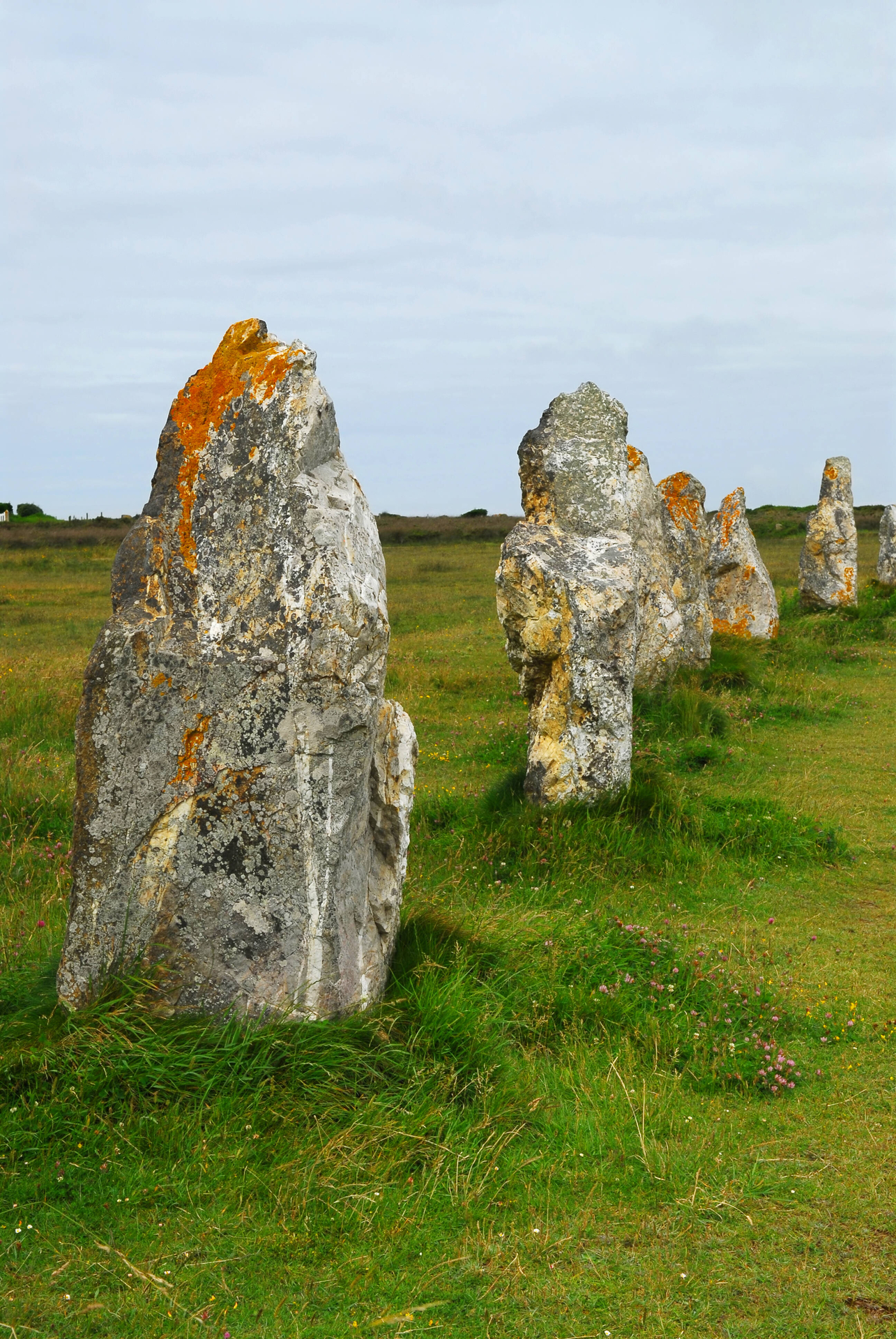 Steinerne Zahnreihe mitten in der Landschaft: Megalithen in der Bretagne