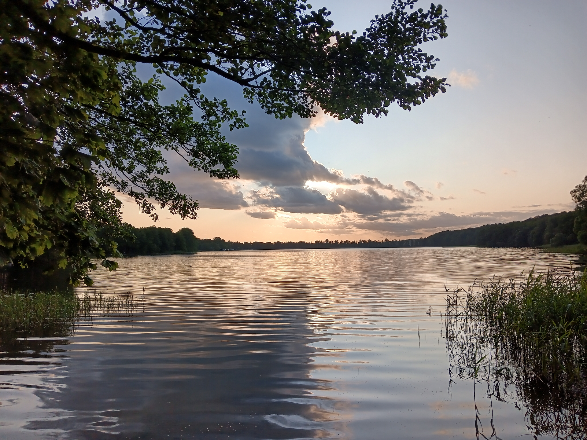 Natur pur mit Gesundheitsfaktor