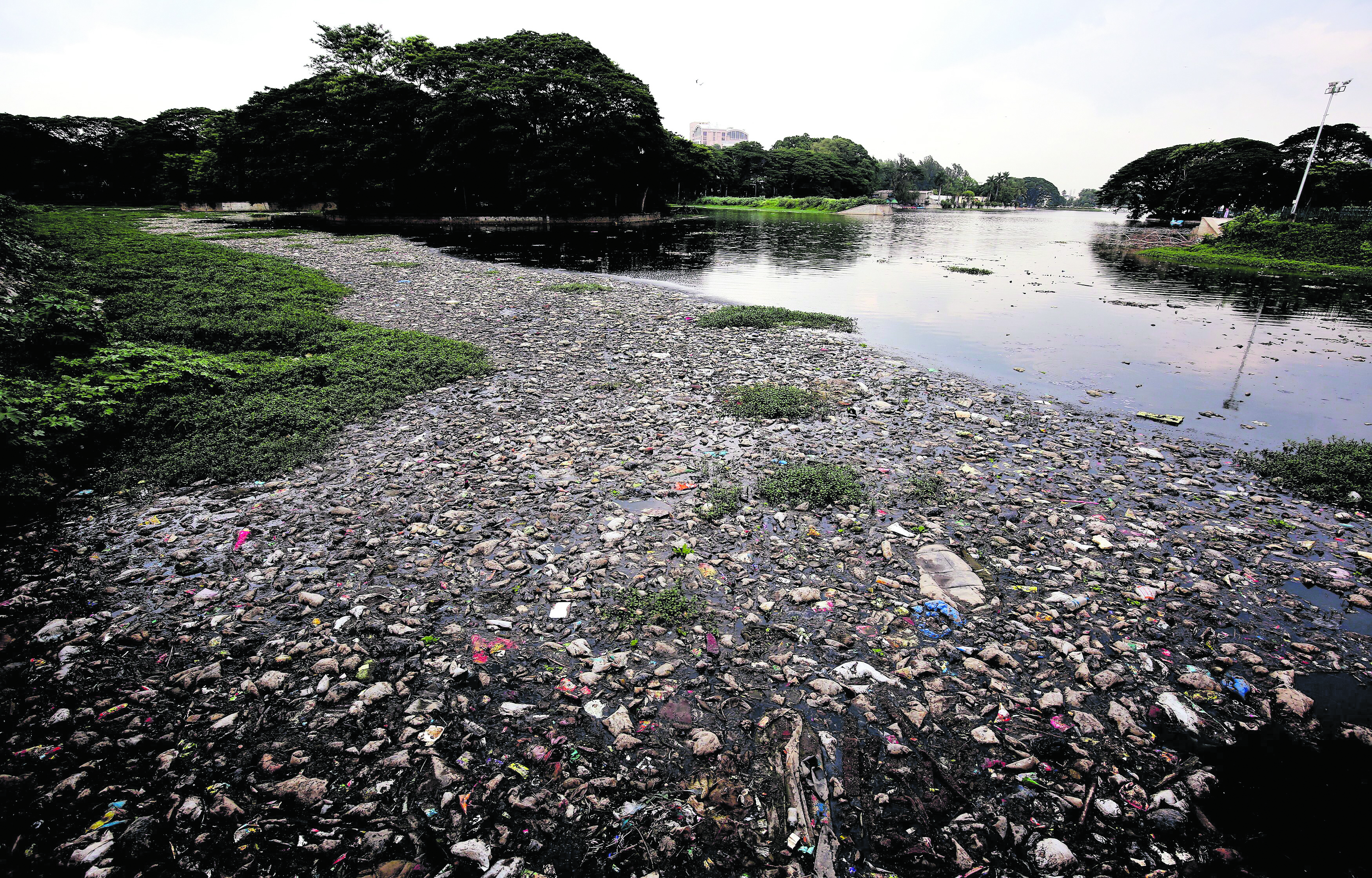 90 Prozent weltweit stammen aus nur zehn Flüssen: Plastikmüll im indischen Bangalore