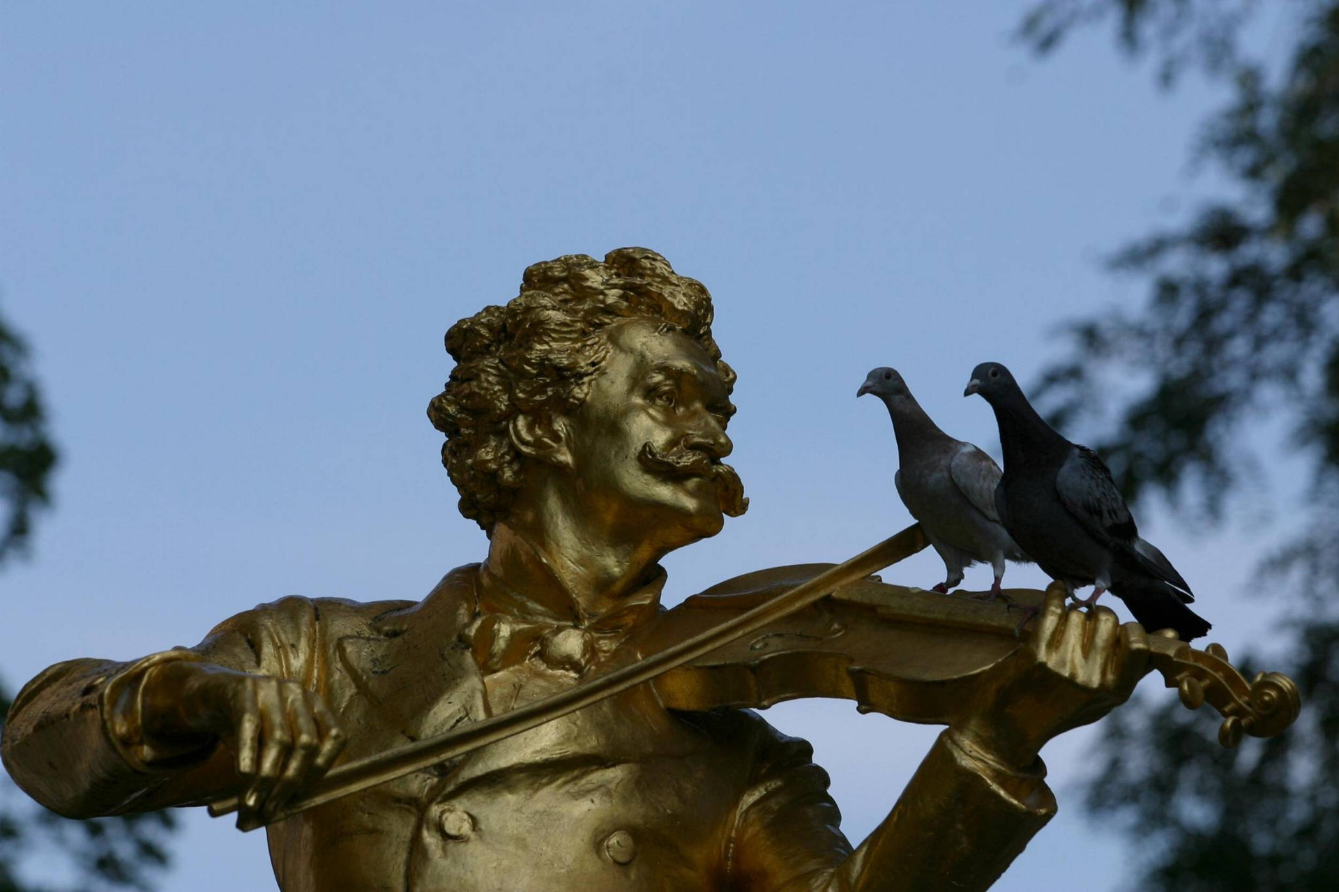 Aufmerksame Zuhörer: Gefiederte Fans beim Johann Strauss-Denkmal im Wiener Stadtpark