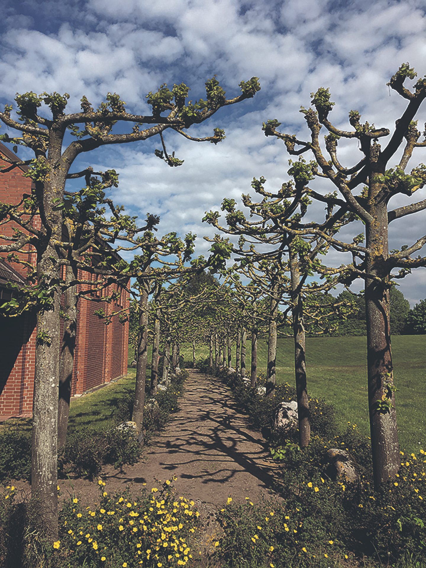 R-ckblick-Was-geht-und-was-bleibt