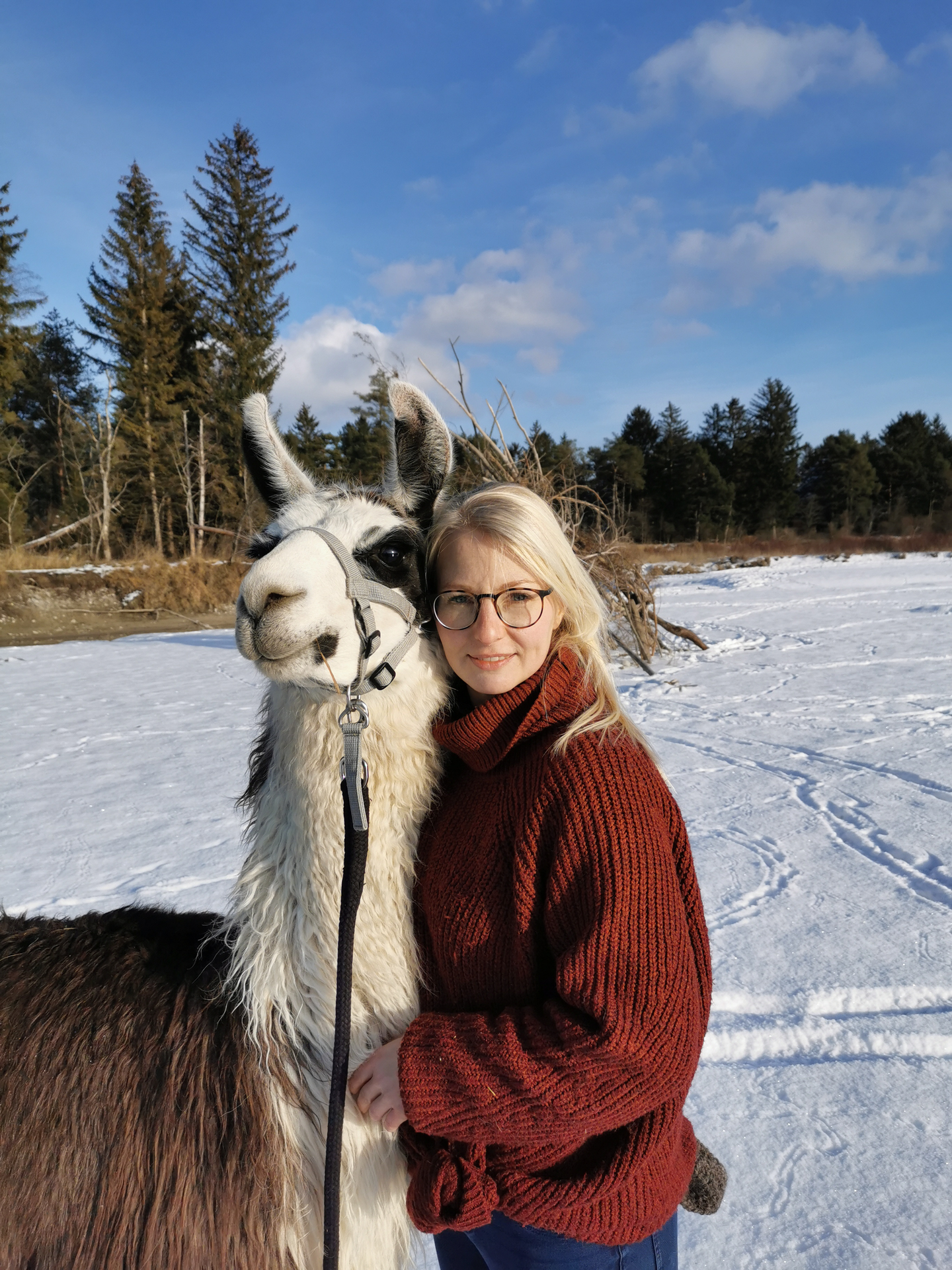 Oberbayern-Die-Lama-Fl-sterin-vom-T-lzer-Land