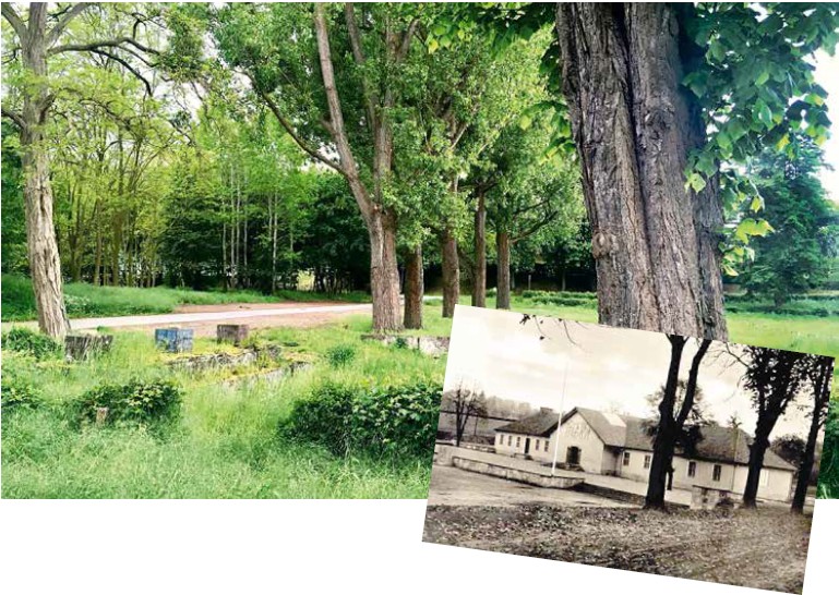 Was war und was blieb: Die anstelle des ehemaligen Schützenhauses erbaute Weihestätte von 1937 wurde abgerissen. Auf dem Platz sind wenige Reste vorhanden