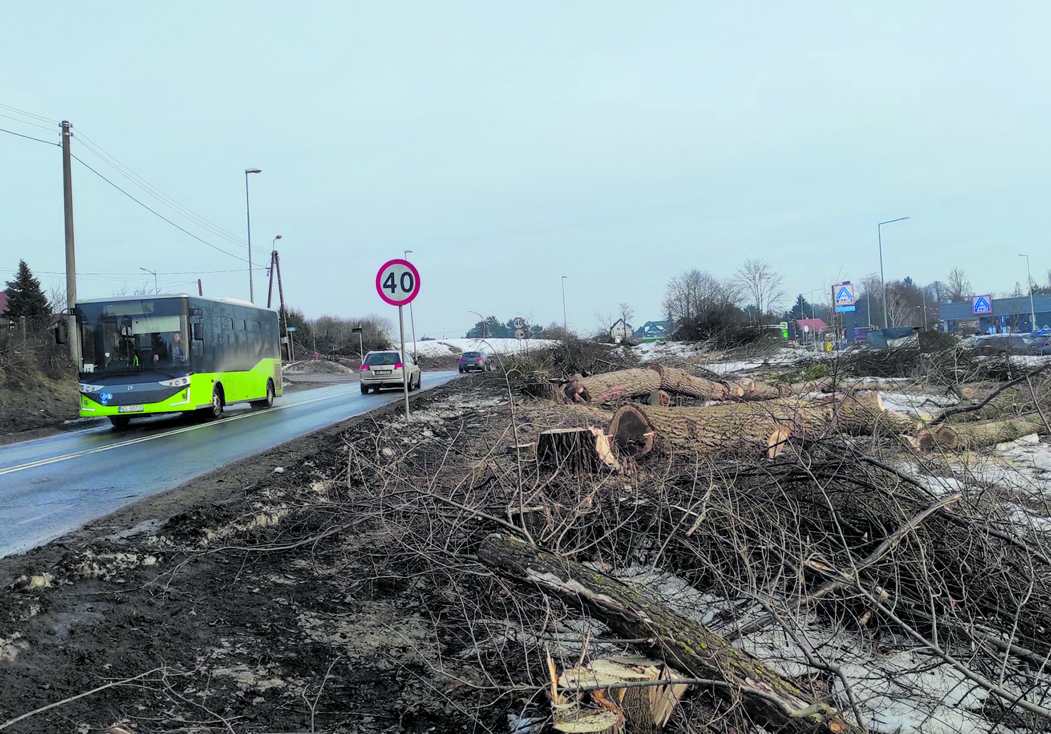 Kahlschlag: Ein Beispiel für viele Rodungen in Allenstein