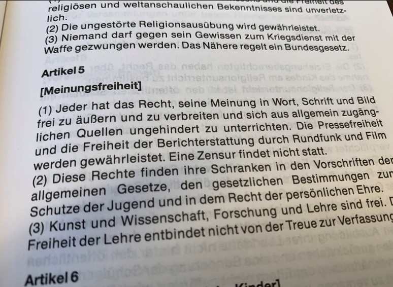 Der Schutz, die absolute Gewähr der Meinungsfreiheit, ist eines der wesentlichen Kennzeichen einer funktionierenden Demokratie, denn gerade hierin unterscheidet sie sich von anderen Staatsformen, vor allem gegenüber einer Diktatur