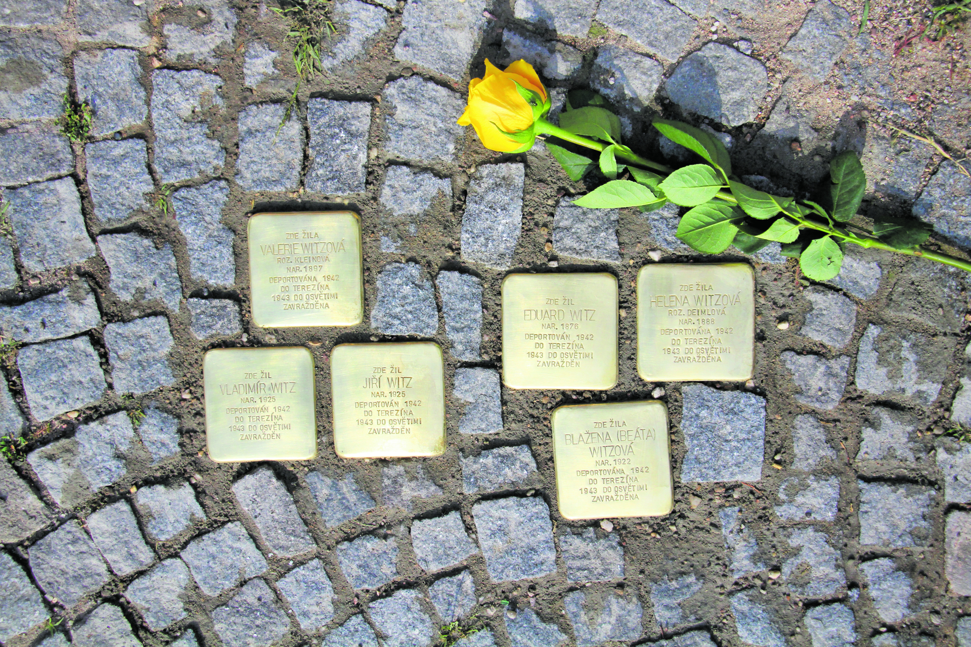 Kleine Stolpersteine für großes Gedenken