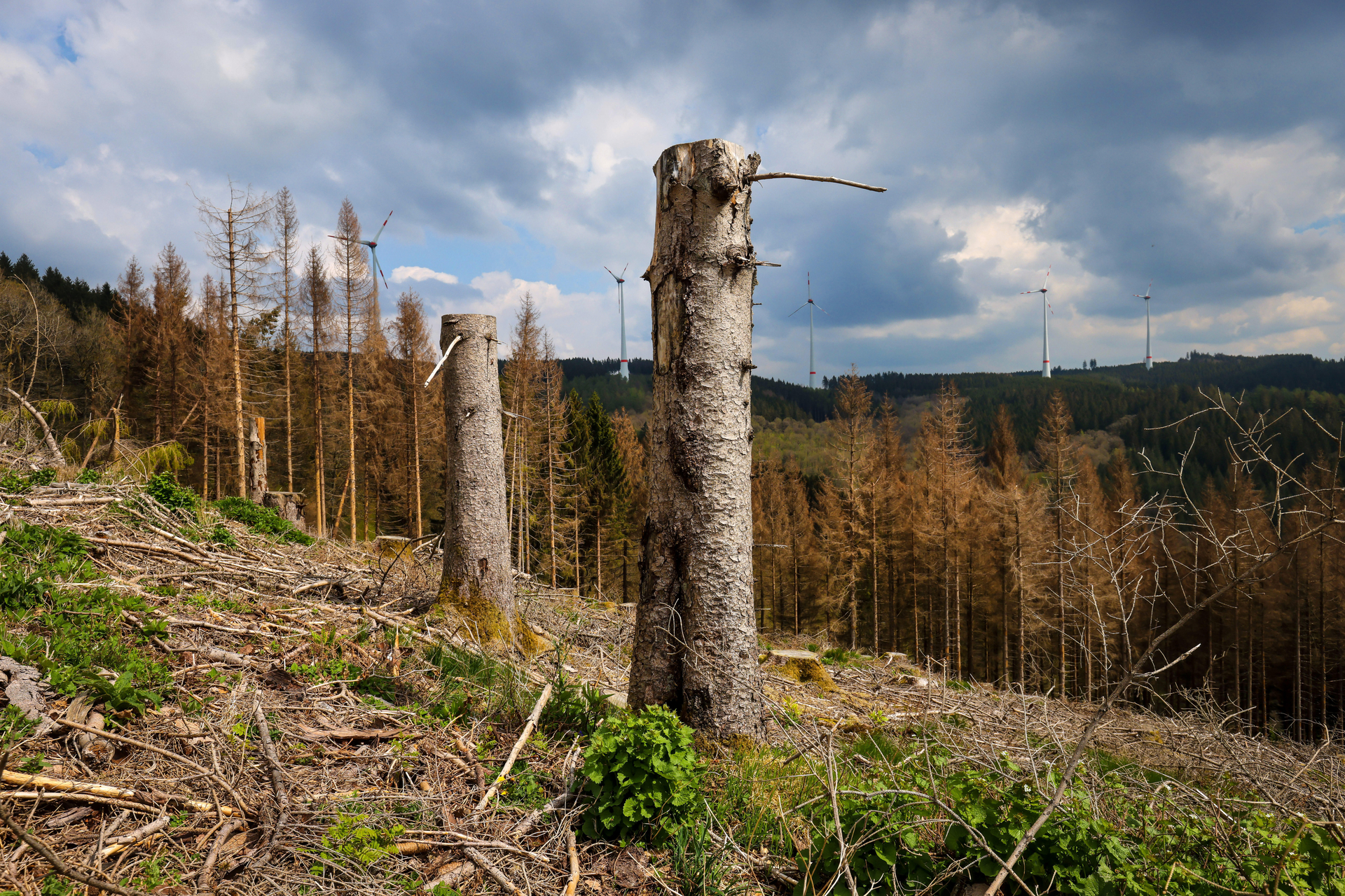 Dürre durch „Klimaschutz“