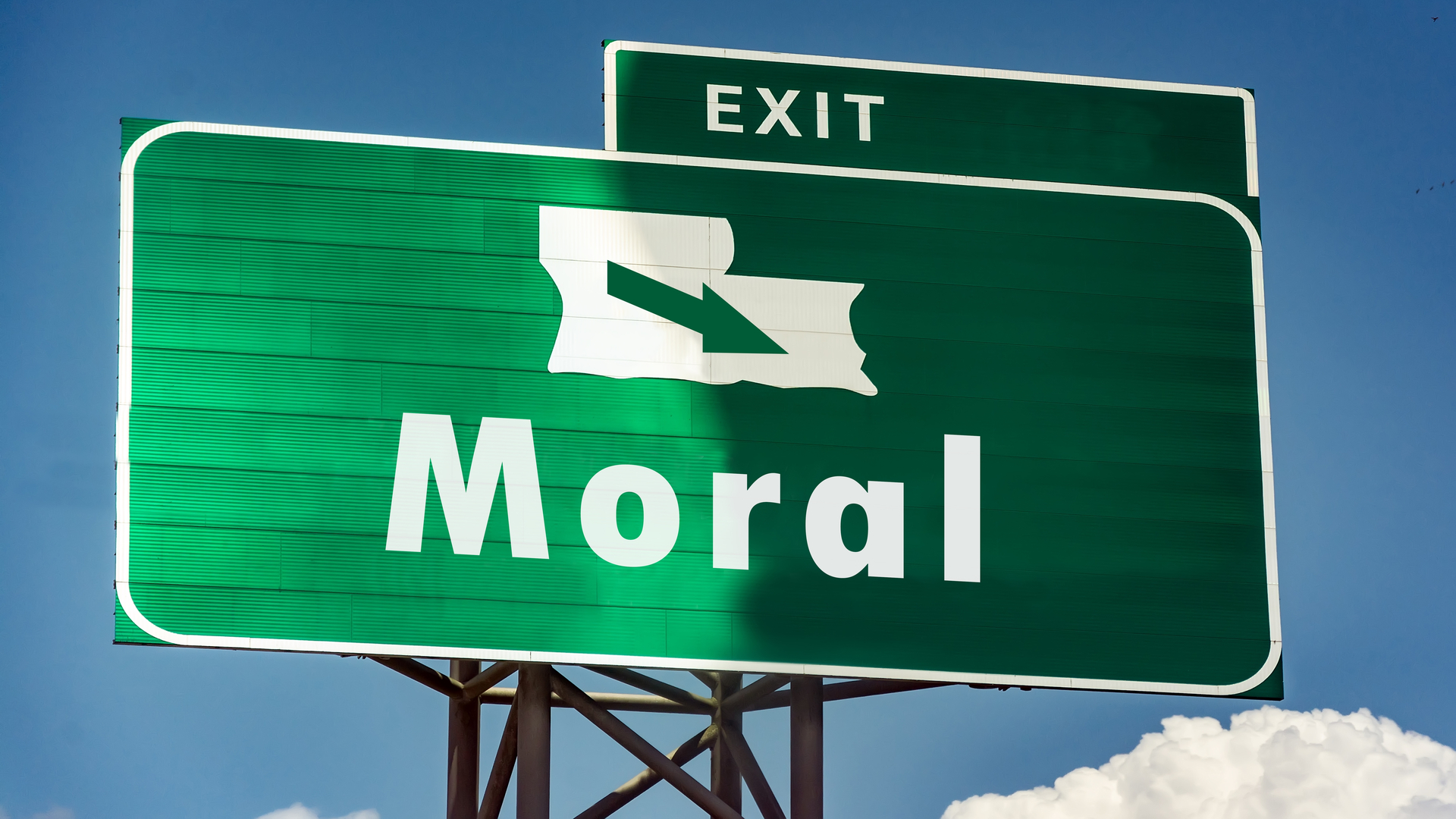Vor allem die Grünen biegen für ihre eigene ideologische Moral reflexartig vor der wichtigen, wertvollen Realität ab