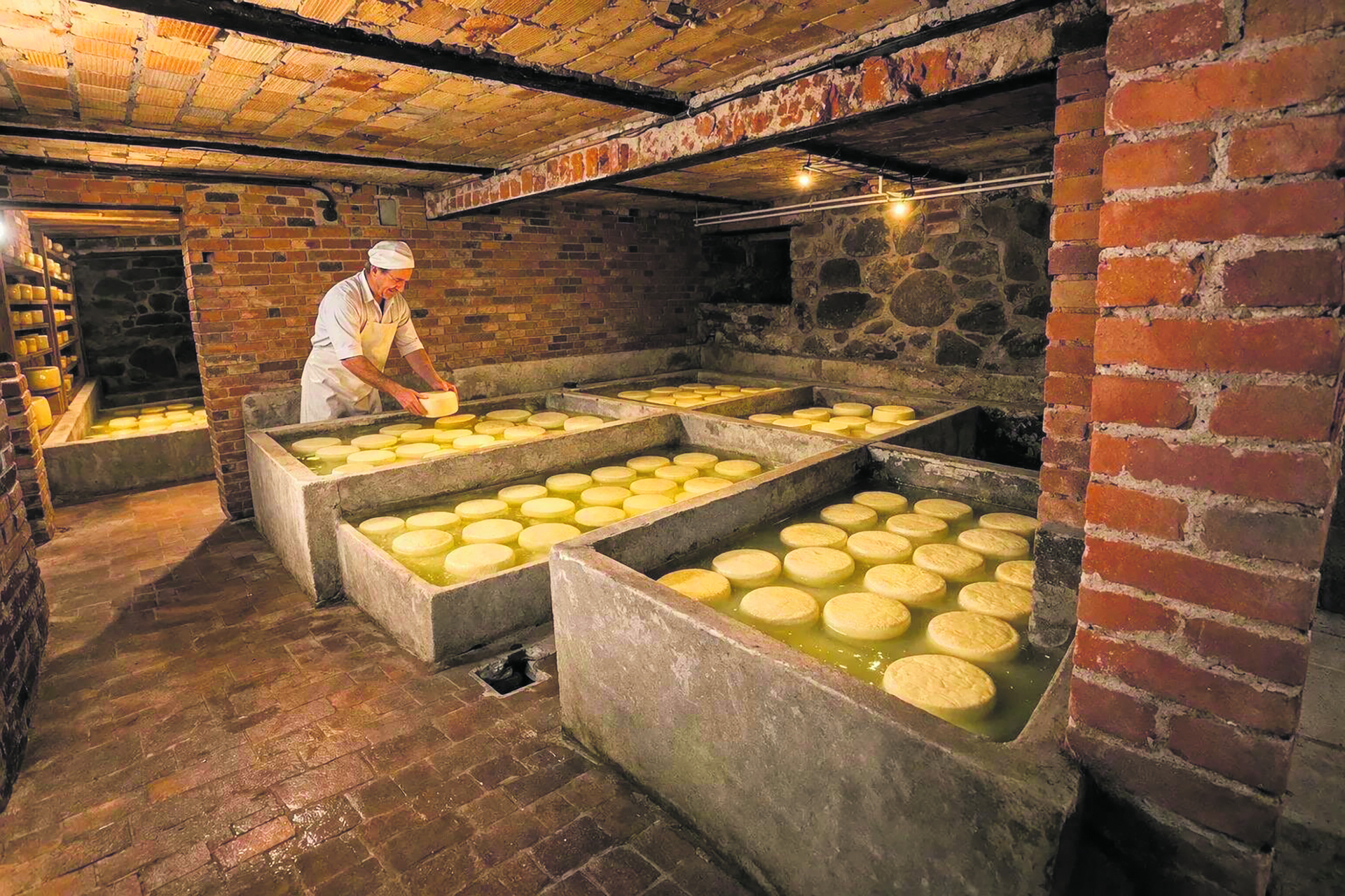 Auf den Spuren der Käse-Herstellung