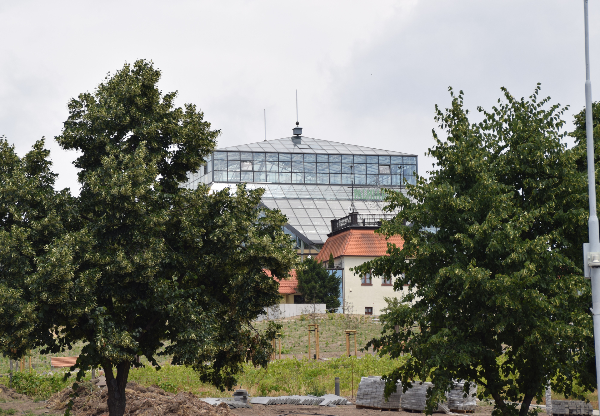 Das Winzerhaus Grempler von 1818 vor dem Palmenhaus von 1961 in Grünberg