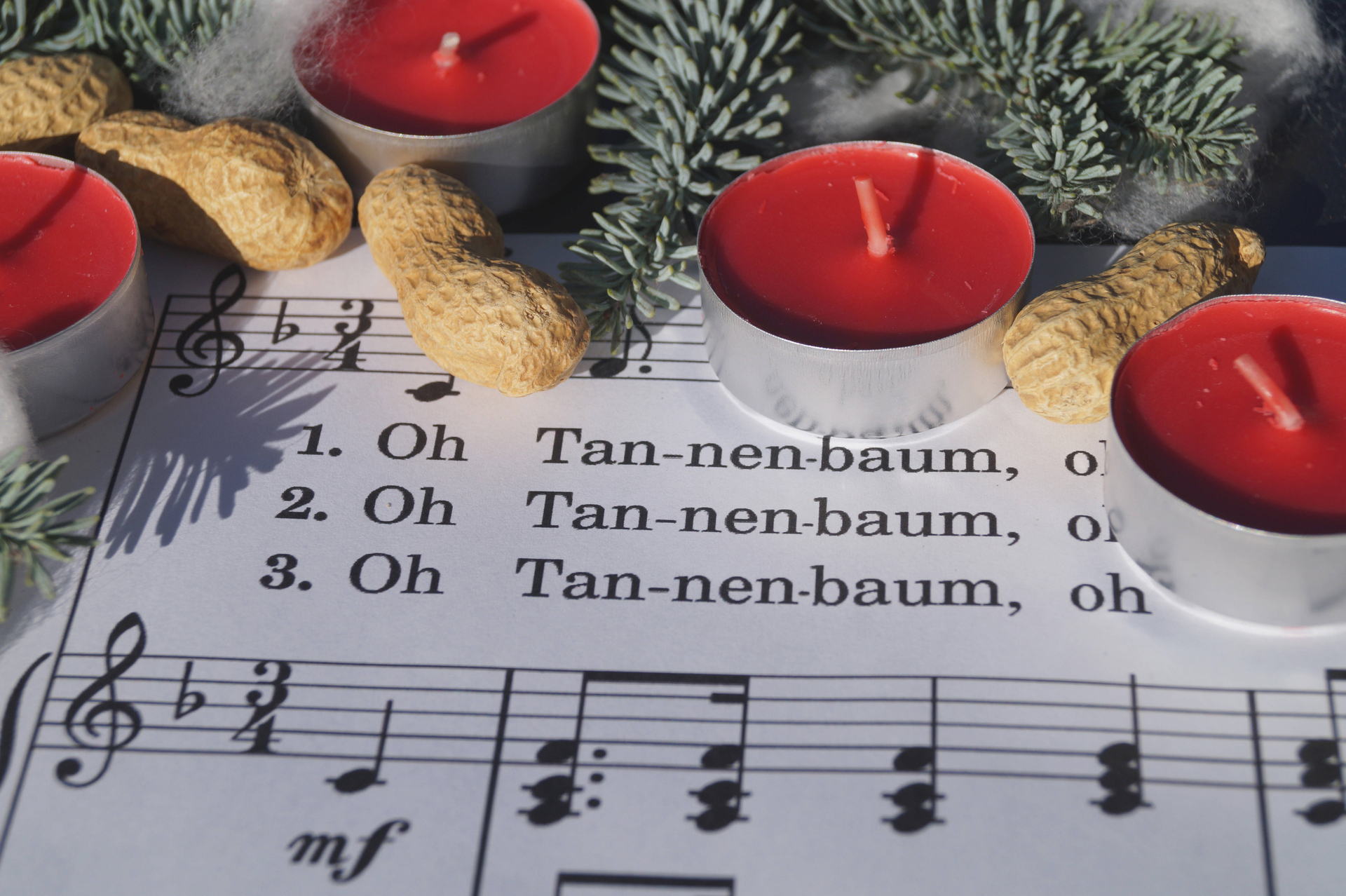 Die Noten kann jeder Deutsche mitsingen: Der weltweite Weihnachtshit „O Tannenbaum“